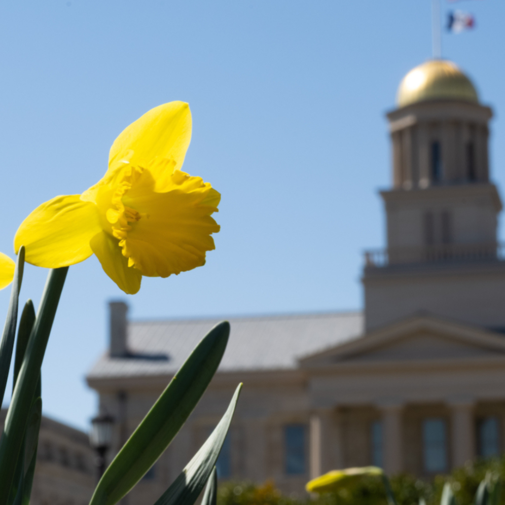 UIowa Old Capitol
