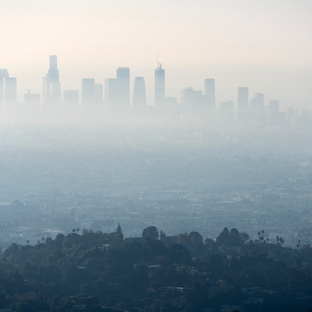 The Current State of Climate Regulation: Revisiting the Endangerment Finding promotional image