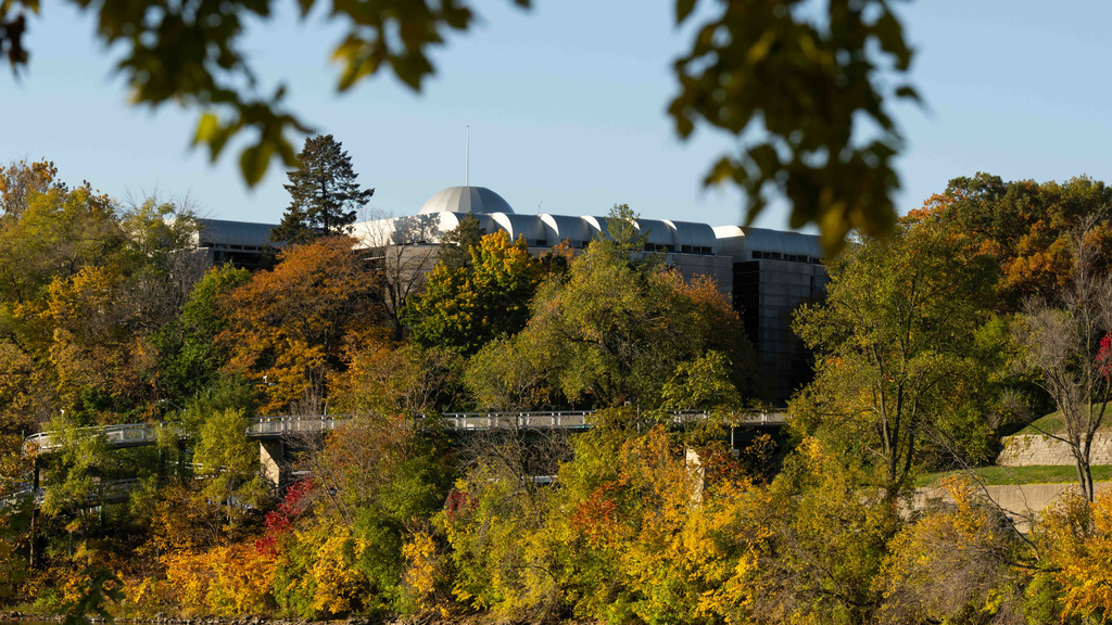 iowa law tree fall