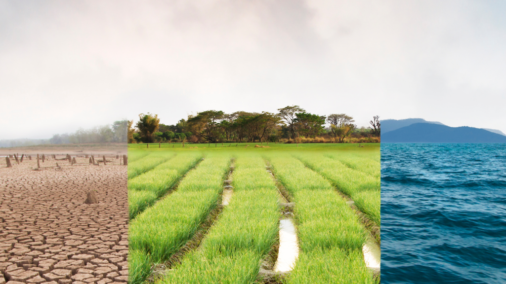 Adapting to a Warming World: Perspectives from the Environmental Law Collaborative promotional image